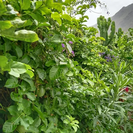 Appartamento Welcome *