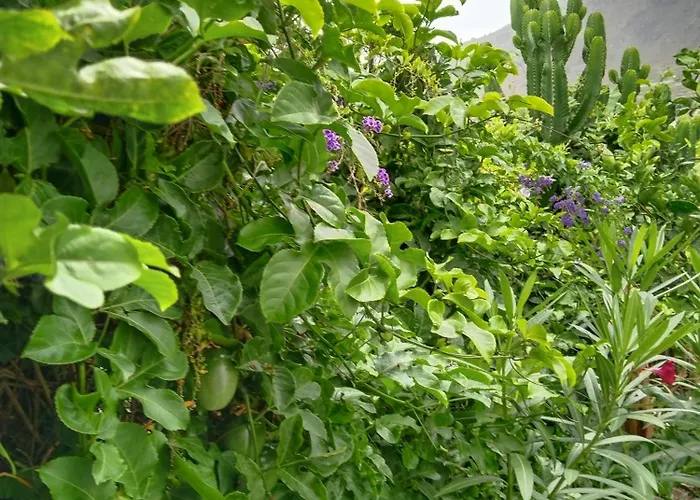 Appartement Welcome *