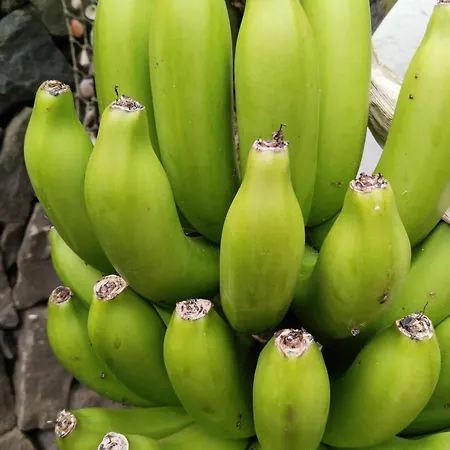 Appartement Welcome *