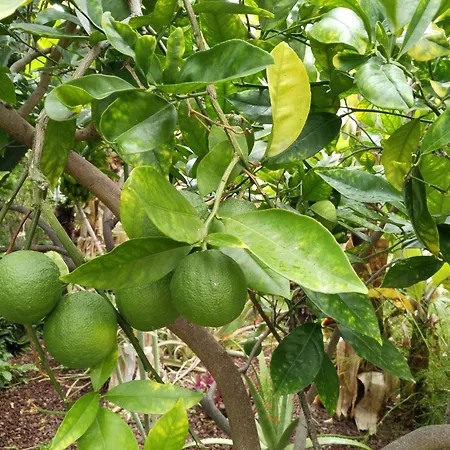 Appartement Welcome *